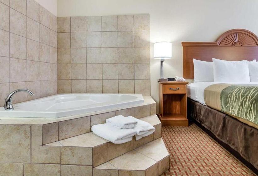 带大床的豪华间, Super 8 By Wyndham Great Bend