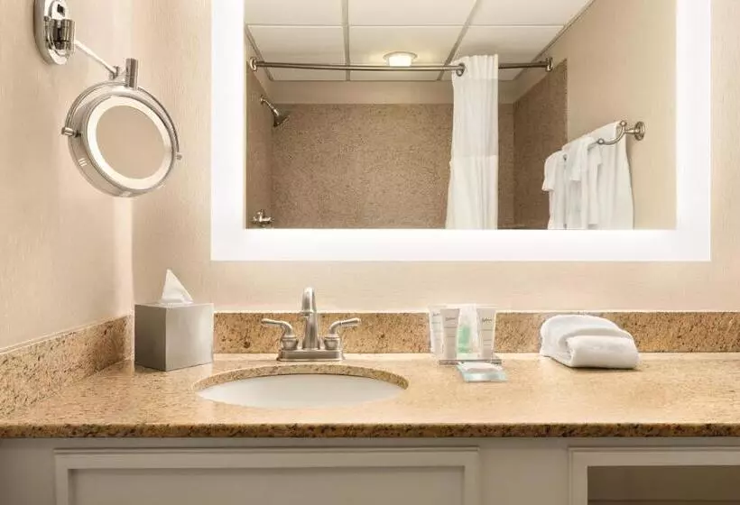 キングサイズベッドのスイートルーム, Radisson Hotel Providence Airport