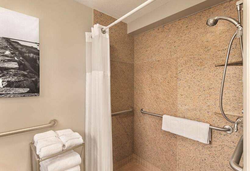 ２ダブルベッドのスタンダードルーム, Radisson Hotel Providence Airport