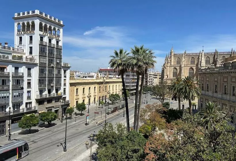 اتاق استاندارد, Toc Hostel Sevilla