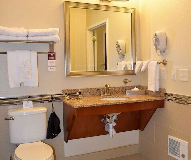 スイート, Best Western Plus Easton Inn & Suites