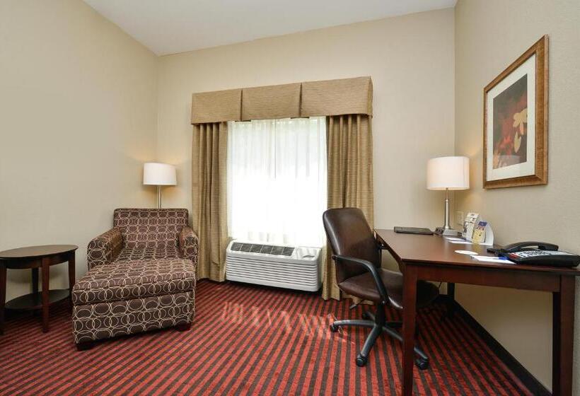 스탠다드 룸 킹사이즈 침대, Best Western Plus Louisa