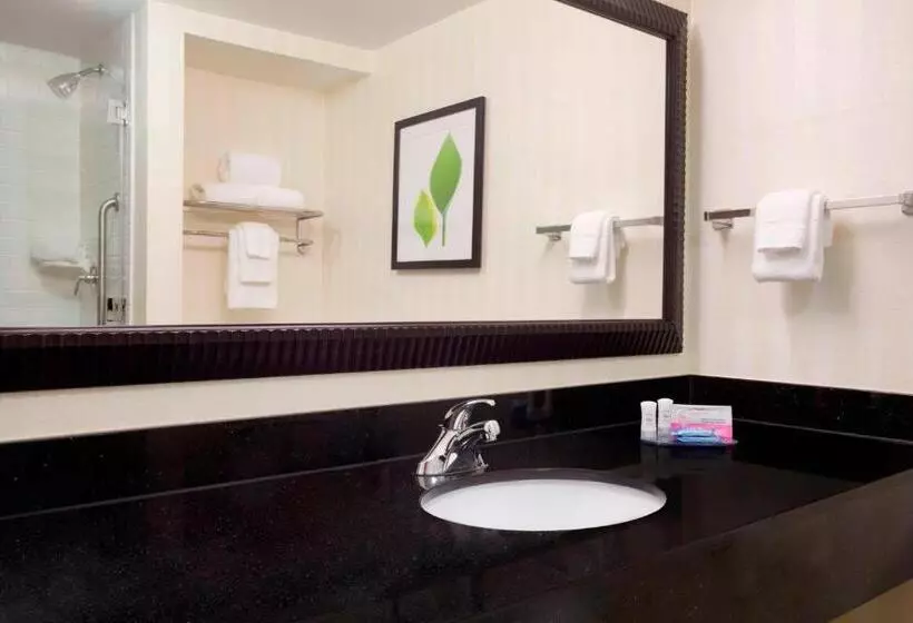 اتاق استاندارد با تخت بزرگ, Fairfield Inn & Suites Columbia Northeast