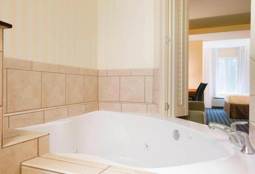 إستوديو قياسى سرير كينج, Fairfield Inn & Suites Columbia Northeast