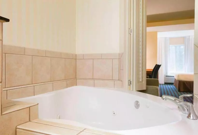 استودیو استاندارد با تخت کینگ, Fairfield Inn & Suites Columbia Northeast