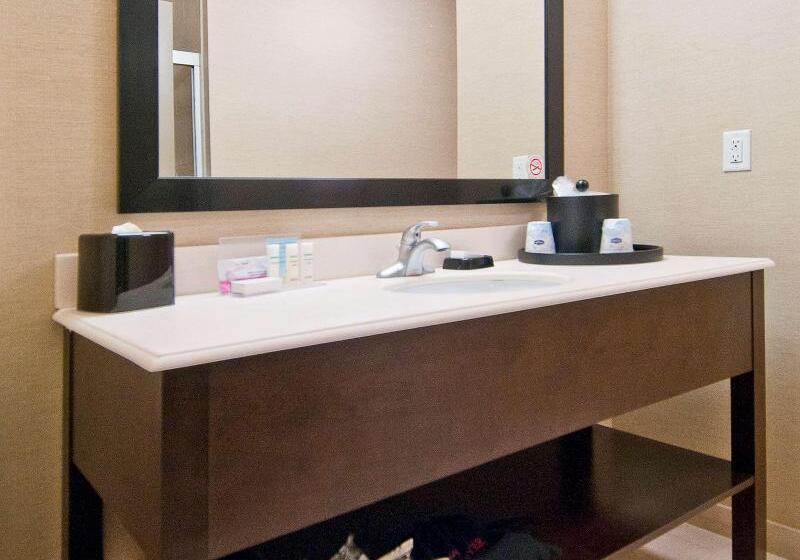 스탠다드 룸 킹사이즈 침대, Hampton Inn Maumelle Ar