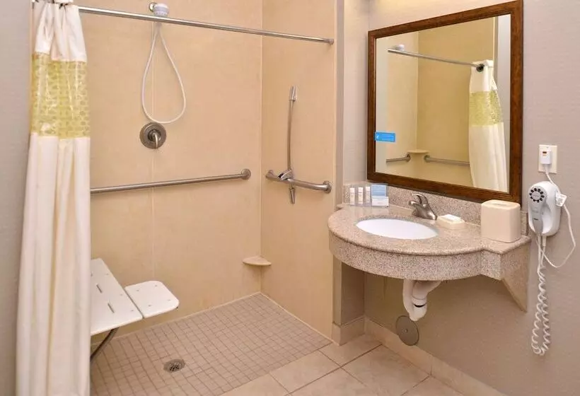 身障者適用スタンダードルーム, Hampton Inn Van Horn