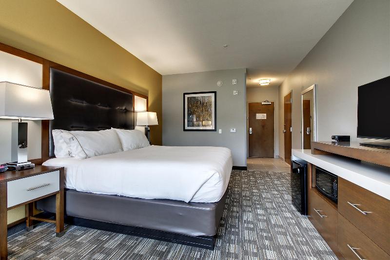 Номер Executive Кровать Кинг, Holiday Inn Express Hotel & Suites Albany By Ihg