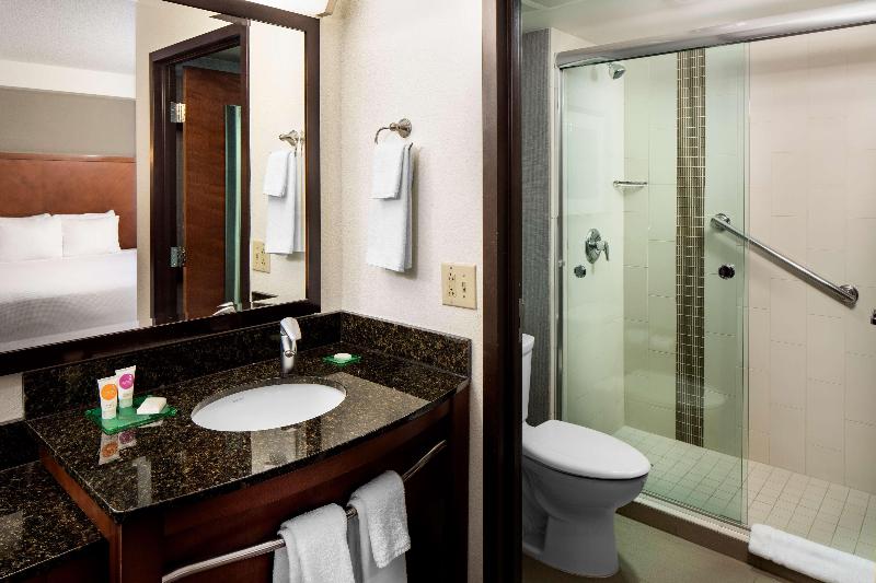 스탠다드 룸, Hyatt Place Atlanta Alpharetta North Point Mall