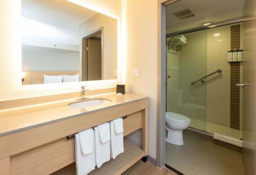 غرفه قياسيه سريرين مزدوجين, Hyatt Place Atlanta Alpharetta North Point Mall