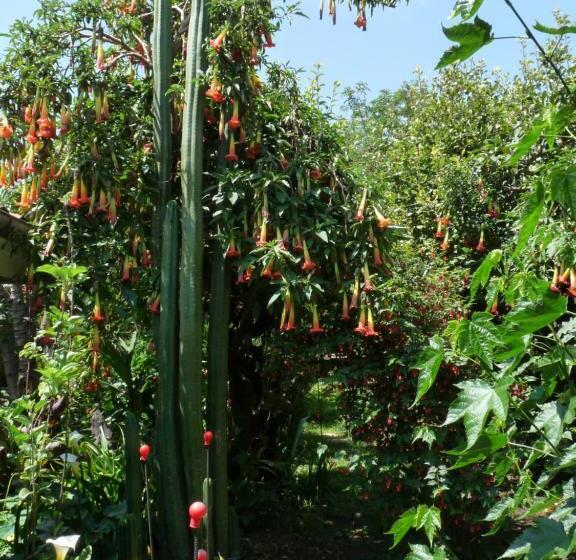 חדר סטנדרט, Kukuli Lodge