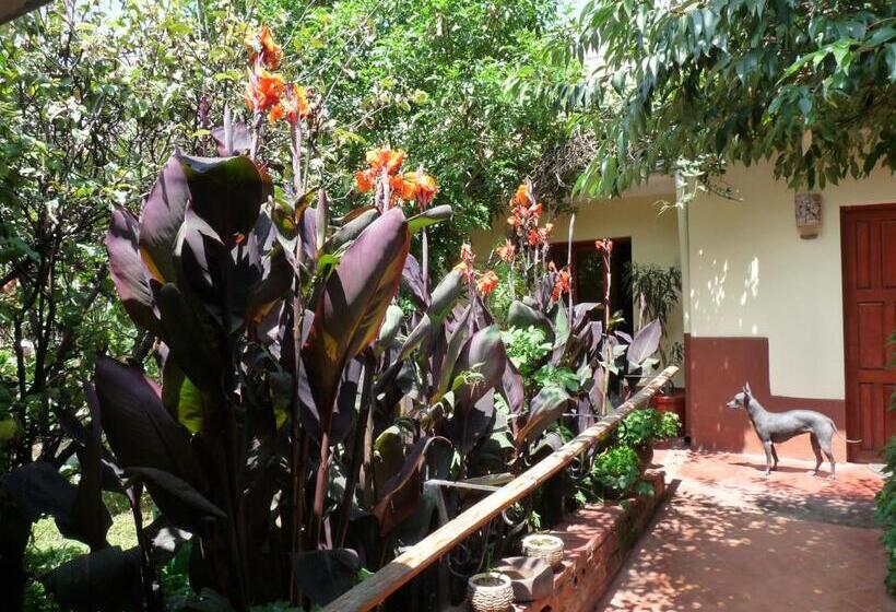 חדר סטנדרט, Kukuli Lodge