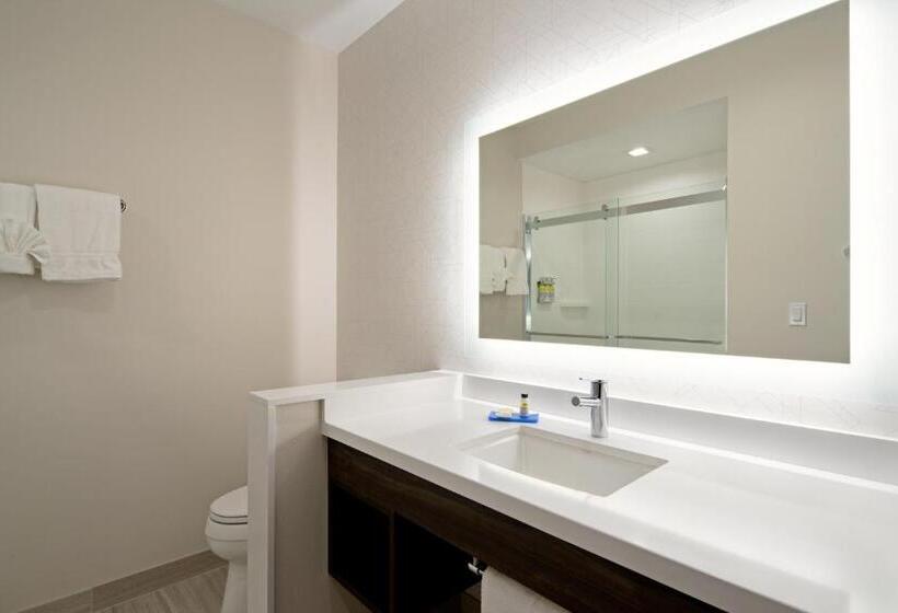 Люкс Кровать Кинг, Holiday Inn Express & Suites   Valencia   Santa Clarita, An Ihg