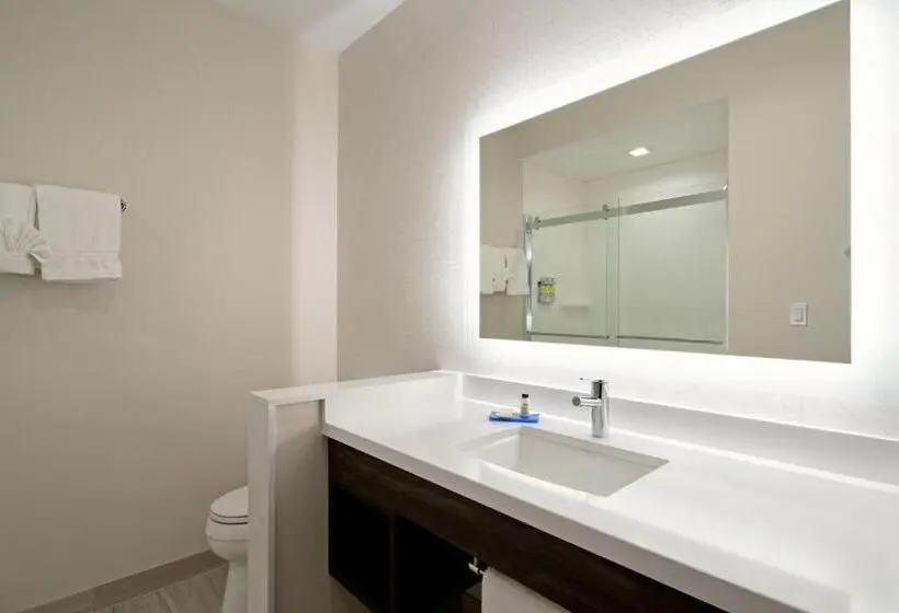 Premium-huone, Holiday Inn Express & Suites Valencia Santa Clarita, An Ihg