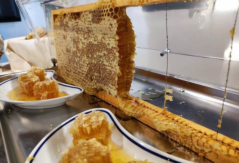 スーペリアールーム, Hieracon