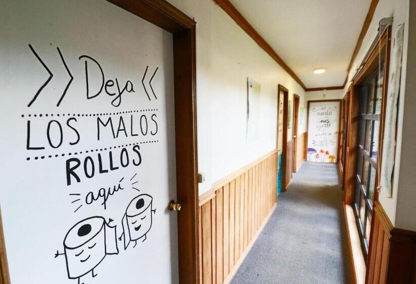 스탠다드 룸, Punto Rockstar Osorno