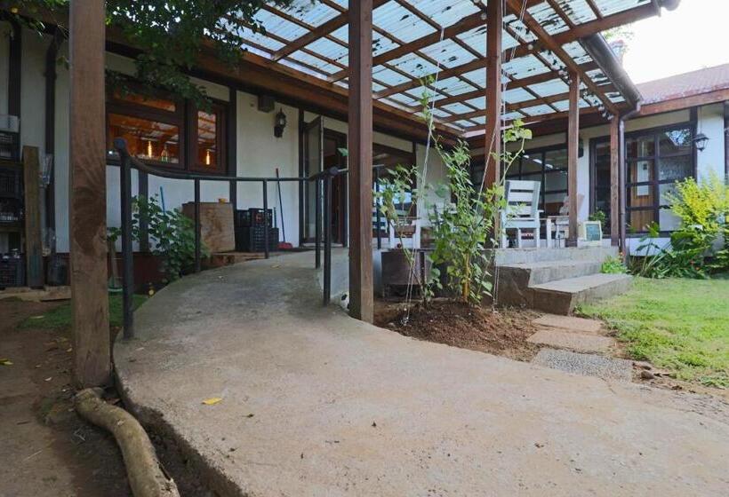 스탠다드 룸, Punto Rockstar Osorno