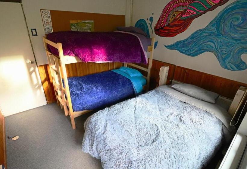 공동 객실, Punto Rockstar Osorno