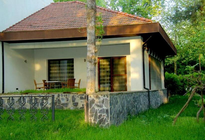 اتاق خانوادگی, Sheki Olimp Villa