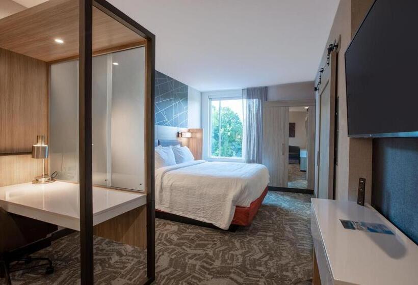 Люкс Кровать Кинг, Springhill Suites By Marriott Chester
