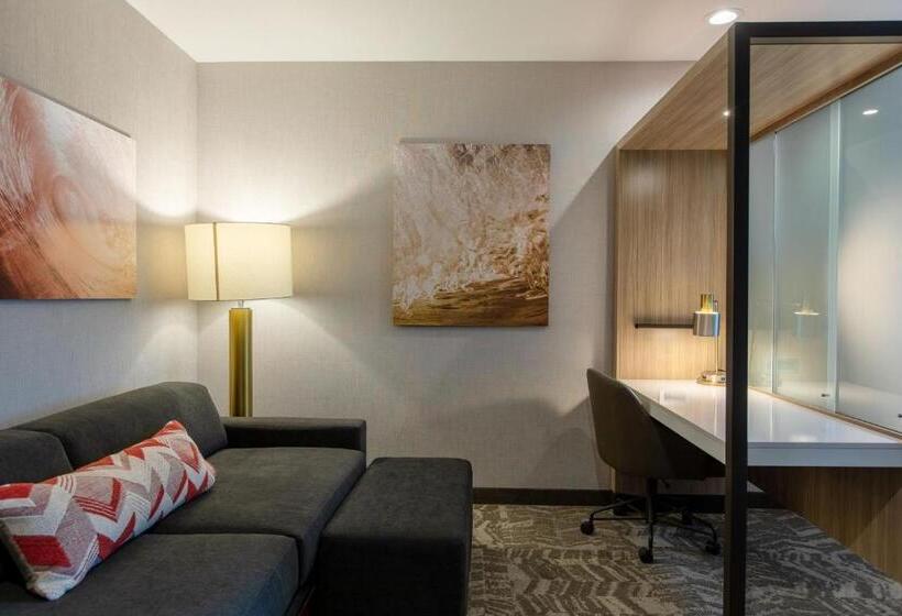 キングサイズベッドのスイートルーム, Springhill Suites By Marriott Chester