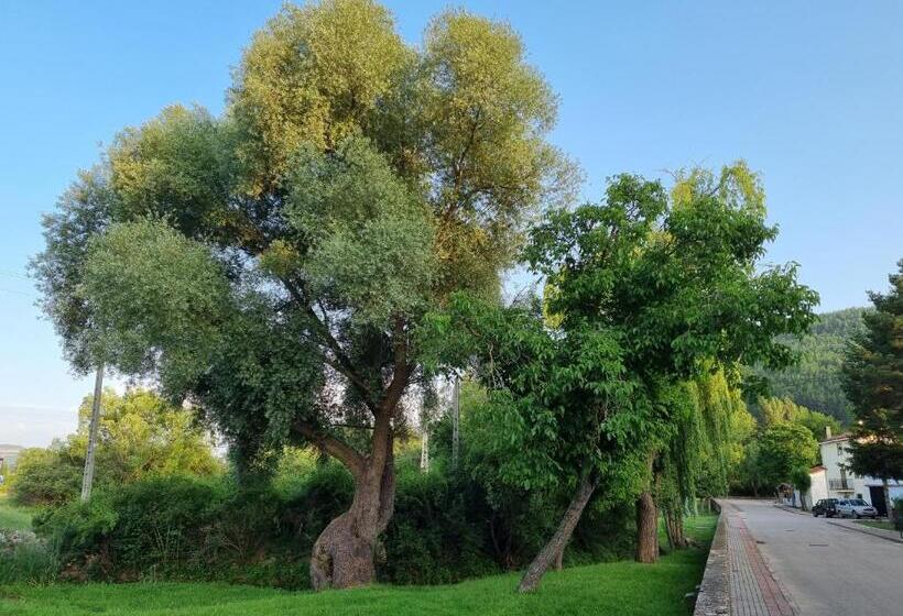 اتاق سوپریور, Ncantadarooms