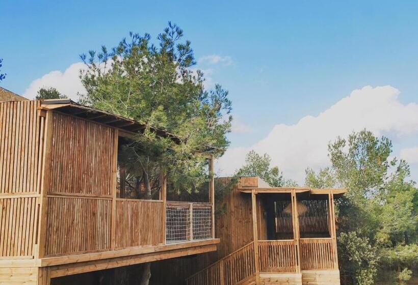 デラックスバンガロー, Villa Occitana