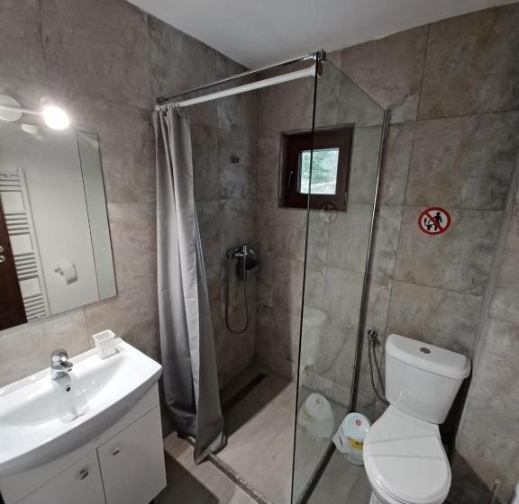 标准间, Pensiunea Vinatur