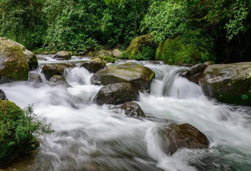 شاليه سوبيريور غرفة نوم واحدة, Rivel   Restaurant & Nature Retreat