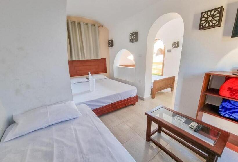 اتاق استاندارد با تراس, Coral Reefs Hotel Dahab