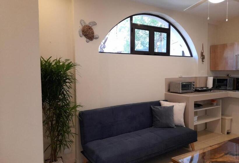 デラックススタジオ, Zulu Surf Hotel Tamarindo