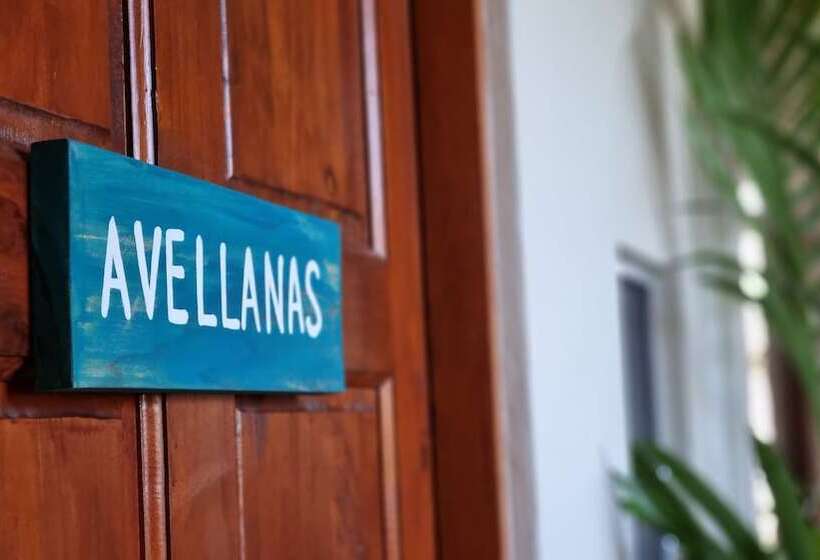 スタンダードルーム, Zulu Surf Hotel Tamarindo