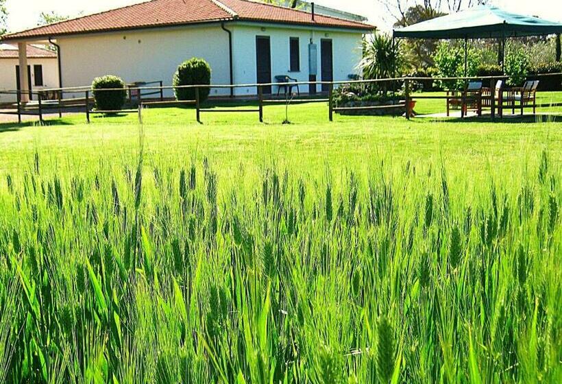 شقة غرفة نوم واحدة بالطابق الأرضى, Agriturismo La Valle Dell Albegna