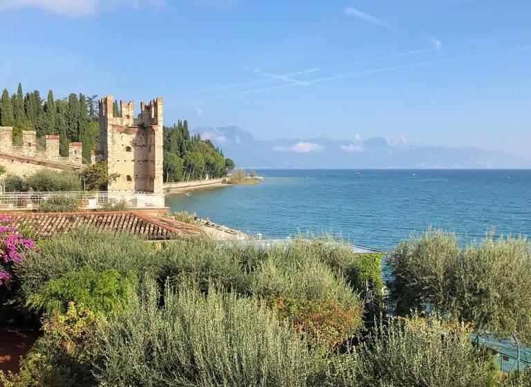 Номер Стандарт, Grifone