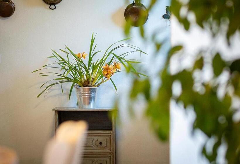 آپارتمان 2 خوابه, Agriturismo La Valle A Polvereto