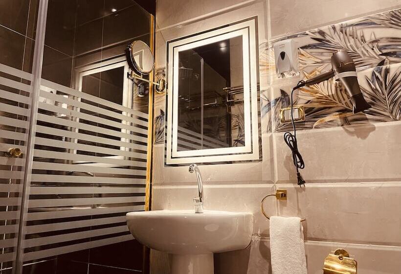 اتاق لوکس یک تخته, Cairo Inn