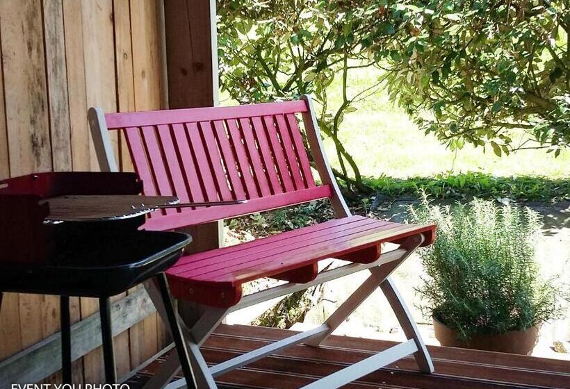 Standardrum, Les Hauts De La Cluse