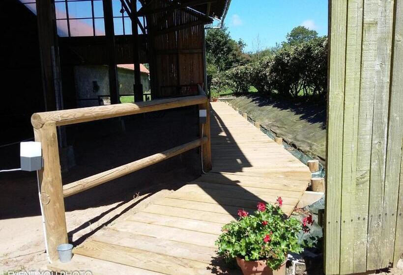 Standardrum, Les Hauts De La Cluse