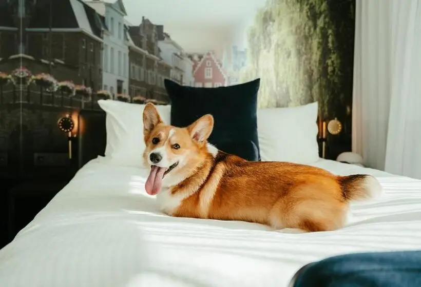 Standard-studio King-vuode, Residence Inn Ghent By Marriott