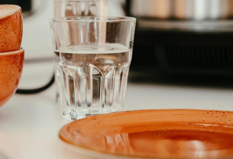 Люкс Кровать Кинг, Residence Inn Ghent By Marriott