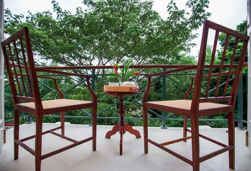 سوئیت جونیور با چشمانداز باغ, The Sun House
