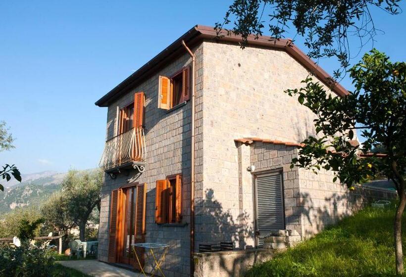 １ベッドルームハウス, Agriturismo L'olivara