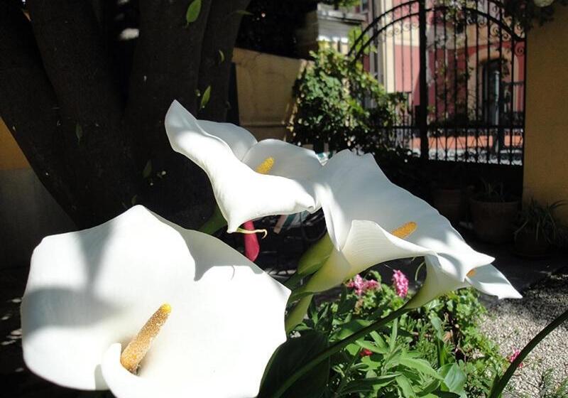 スタンダードトリプルルーム, Miranda