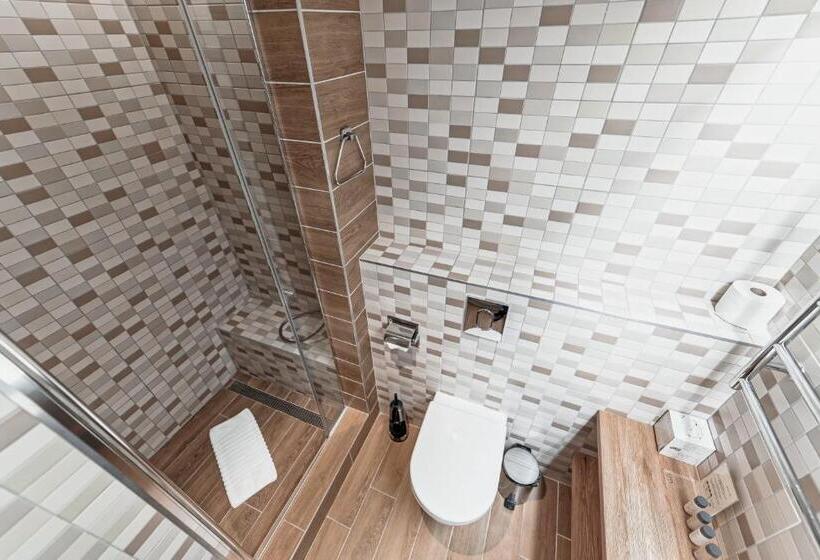 اتاق استاندارد با دسترسی به اسپا, Spa Vilnius Druskininkai