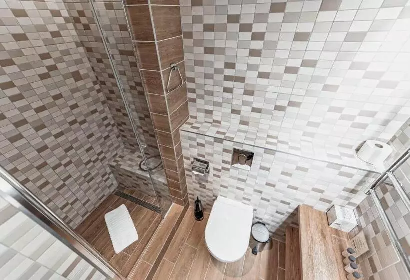 اتاق استاندارد با دسترسی به اسپا, Spa Vilnius Druskininkai