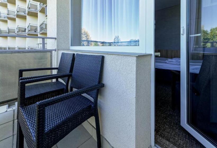 اتاق استاندارد با دسترسی به اسپا, Spa Vilnius Druskininkai