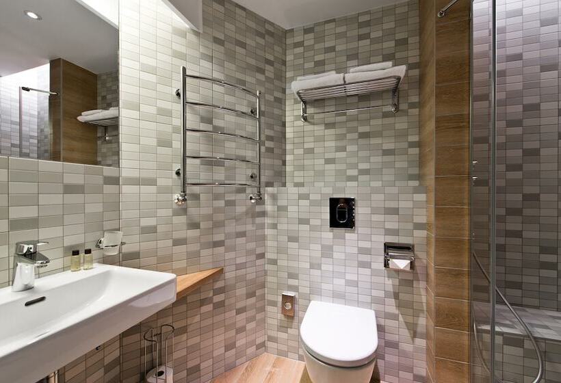 اتاق استاندارد با دسترسی به اسپا, Spa Vilnius Druskininkai