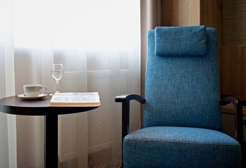 اتاق استاندارد با دسترسی به اسپا, Spa Vilnius Druskininkai