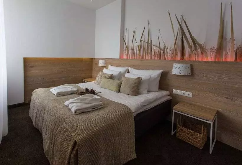 اتاق استاندارد با دسترسی به اسپا, Spa Vilnius Druskininkai