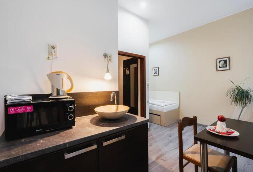 اتاق لوکس یک تخته, Penzion Dvořákova